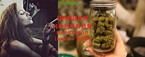 шишки Медногорск