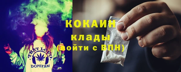 стаф Мегион
