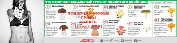 Альфа ПВП Медвежьегорск