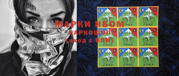 шишки Медногорск