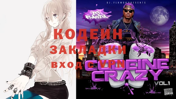 шишки Медногорск