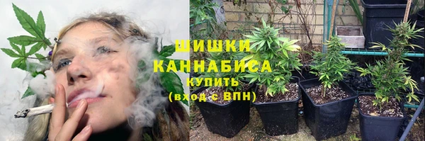 шишки Медногорск