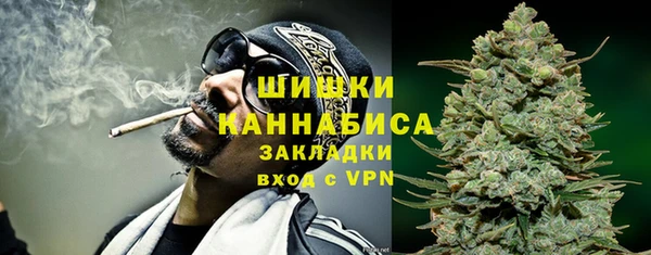 МДПВ Нея