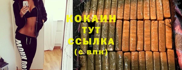 стаф Мегион