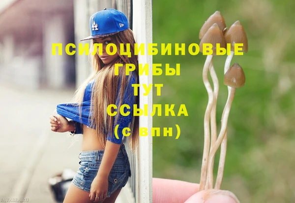 Альфа ПВП Медвежьегорск