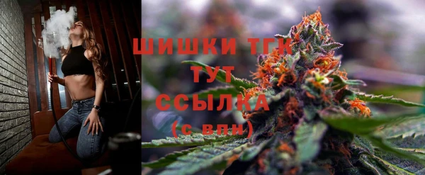 шишки Медногорск