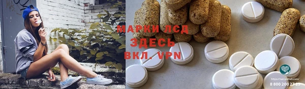 spice Великий Новгород