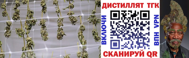 кракен сайт Шелехов ТГК вейп