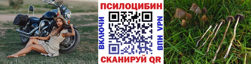 даркнет как зайти  Шелехов  Псилоцибиновые грибы ЛСД 