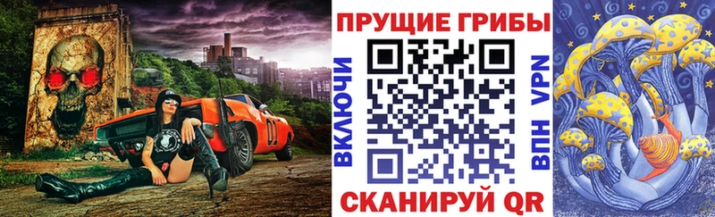 Псилоцибиновые грибы Cubensis Шелехов